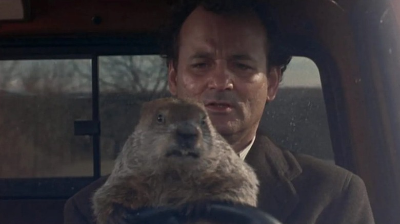 Phil Connors driving with a groundhog at the wheel in Groundhog Day