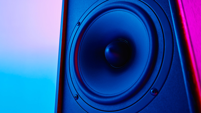 A speaker inside a wooden enclosure stands in front of a colorful wall of blues and purples