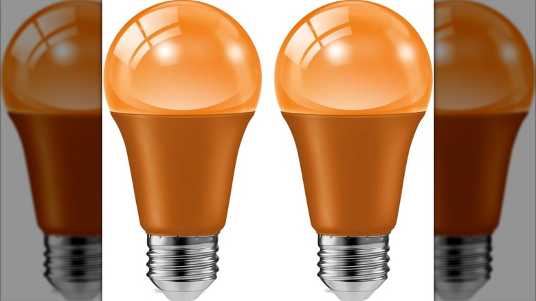 A pair of Haraqi orange LED bulbs.