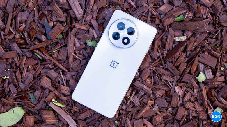 White OnePlus 13R lying face down on wood chips