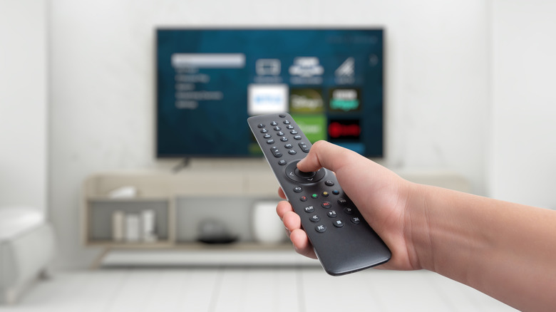 A hand holding a remote with a TV in the background