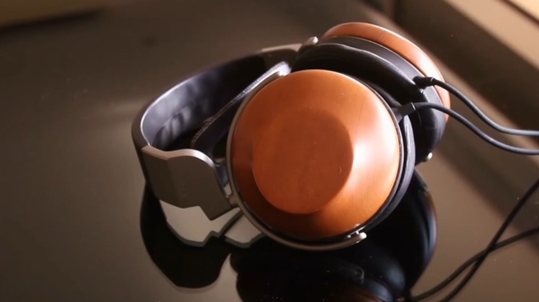 A pair of Sony MDR-R10 headphones.
