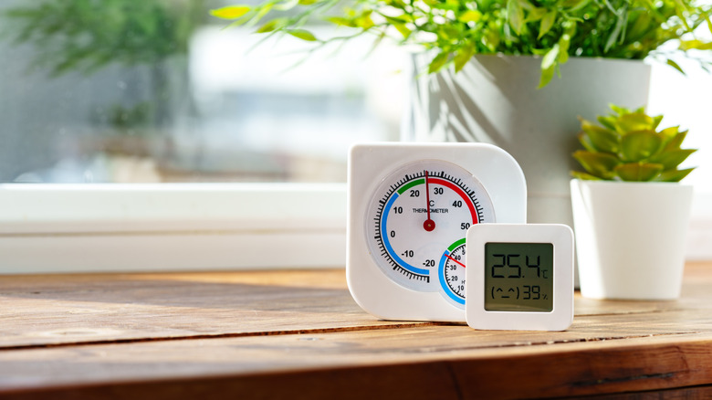 A digital thermometer on a counter.