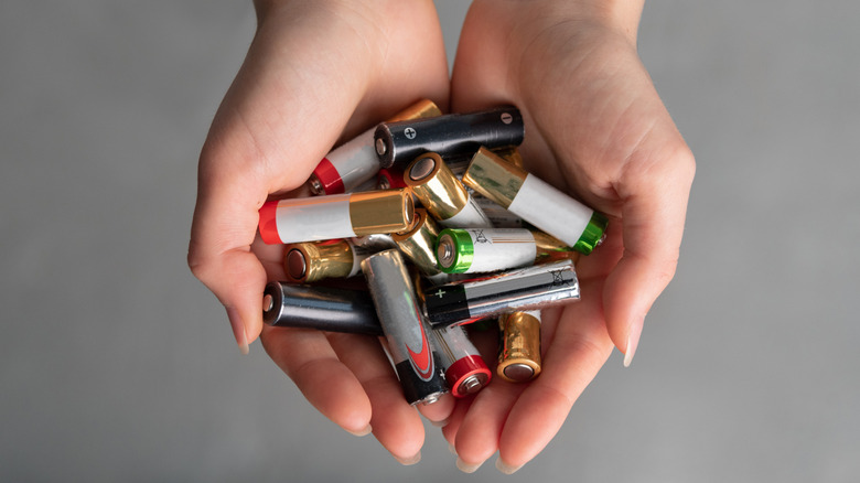 A person holding a pile of alkaline batteries in their hands