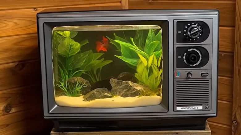 A CRT TV case repurposed as a planter.
