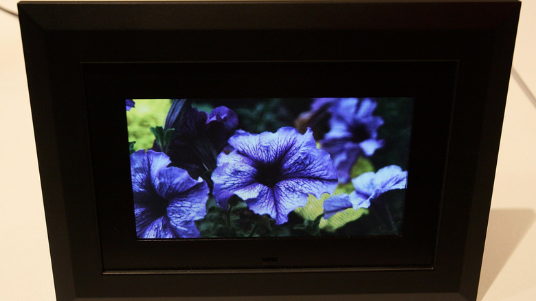 A digital photo frame