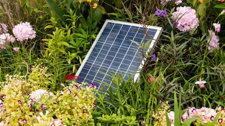 A solar panel resting among flowers in a yard.