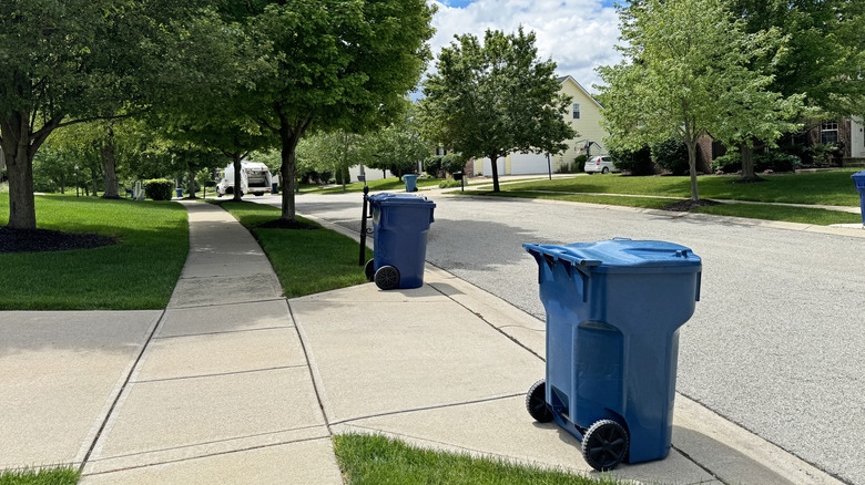 Blue trash cans by the curb waiting for pick up.