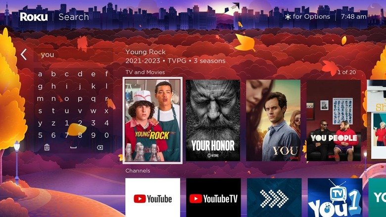 A screenshot showing Roku search