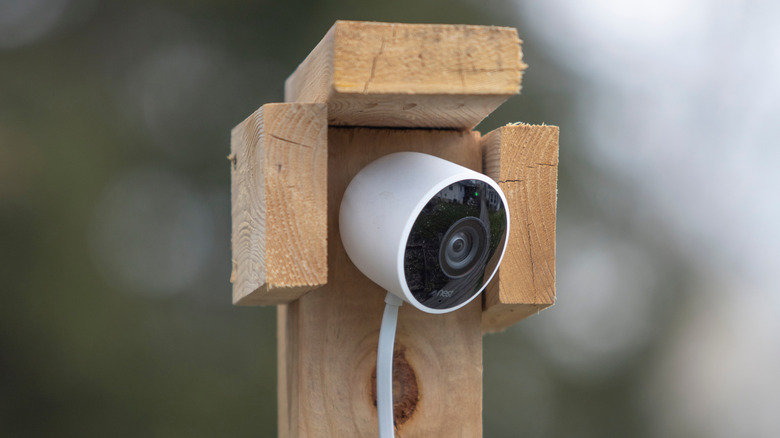 Google Nest camera under a makeshift outdoor wood shelter