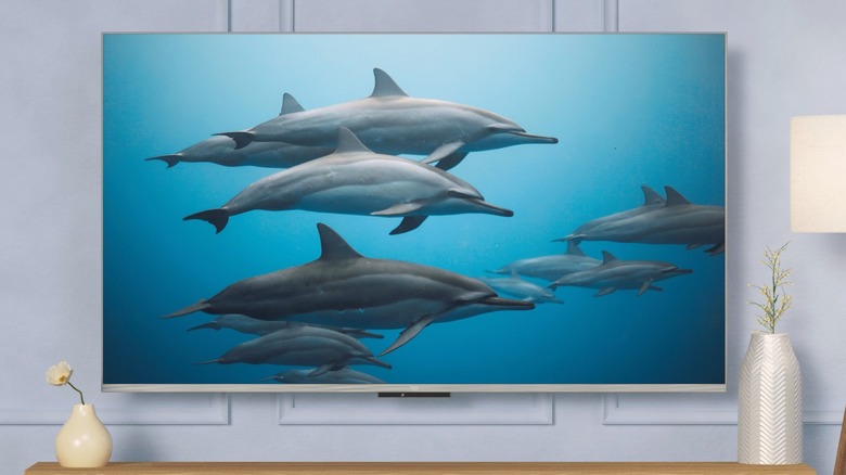 An Amazon Fire TV hanging in a room above a table, the television is displaying numerous dolphins swimming in a body of water
