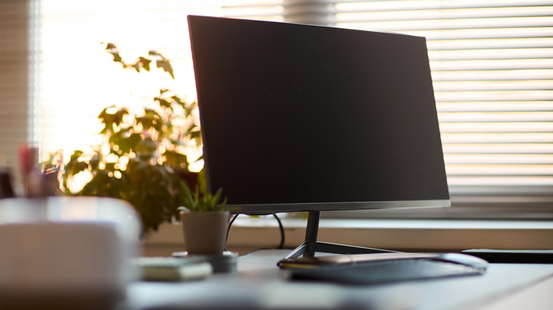 A clean desktop workstation setup showing just a monitor, keyboard and house plants.
