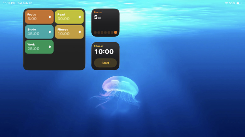 FocusPomo widgets on iPad Home Screen