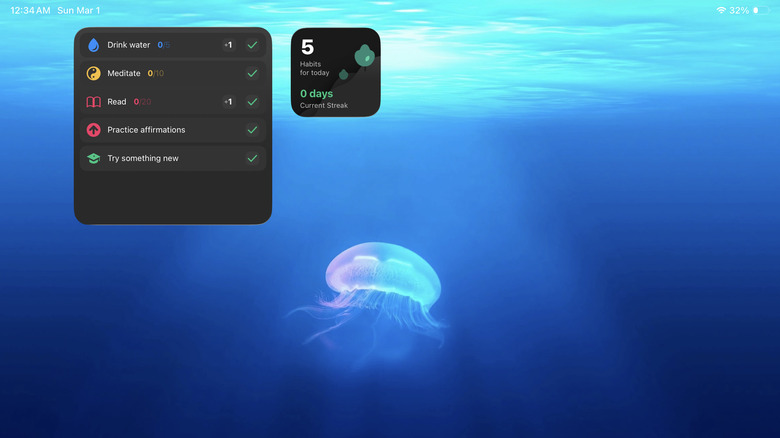 Productive habits widgets on iPad Home Screen