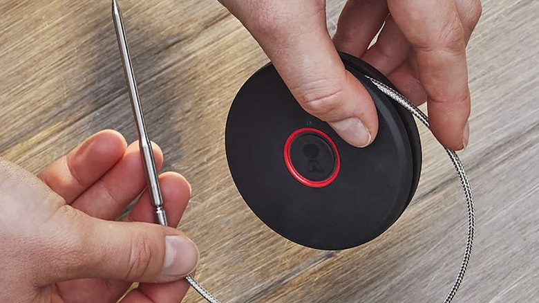 A hand holding the Weber smart probe.