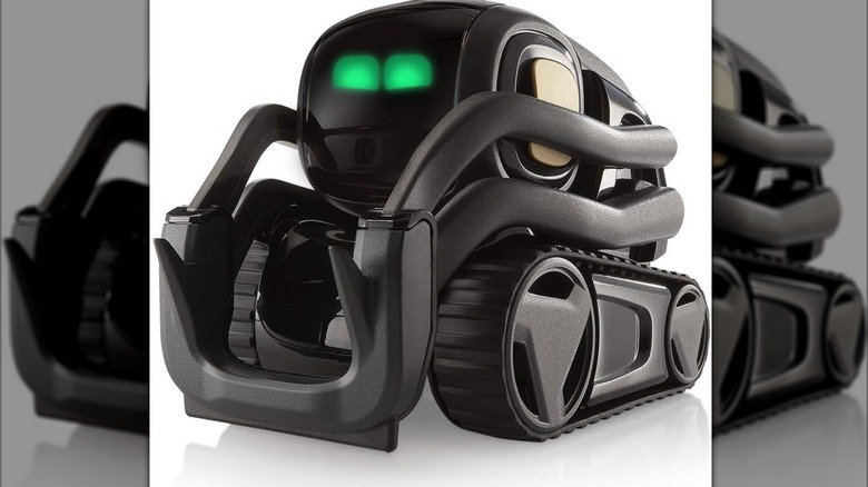 The Vector robot from Digital Dream Labs.