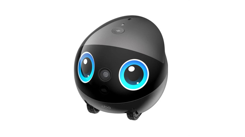 Photo of the Enabot companion robot