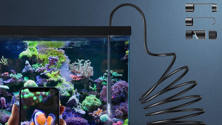 The Kinpthy Endoscope Camera placed in a fish tank.