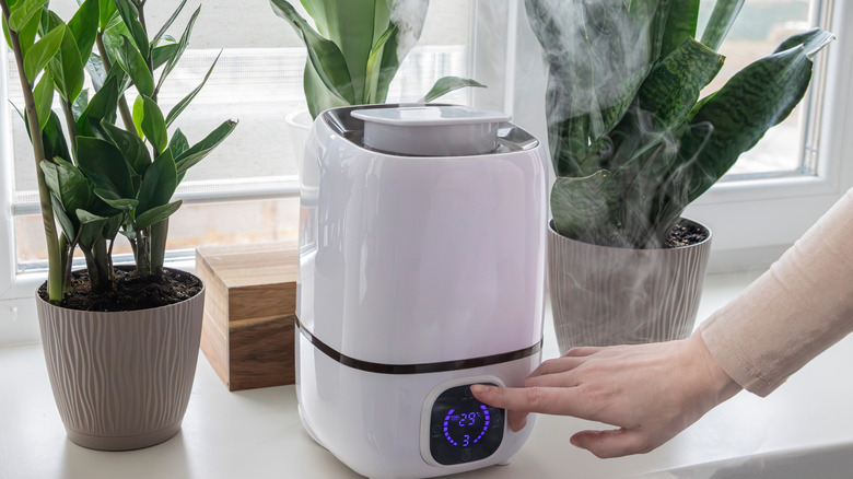 A smart humidifier surrounded by indoor plants near window