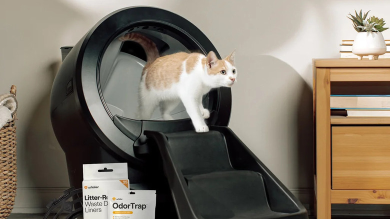 A cat leaving the Whisker Litter-Robot 4 Smart Pet Litter Box.