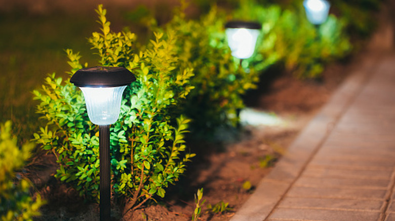 Decorative lights on a garden path.