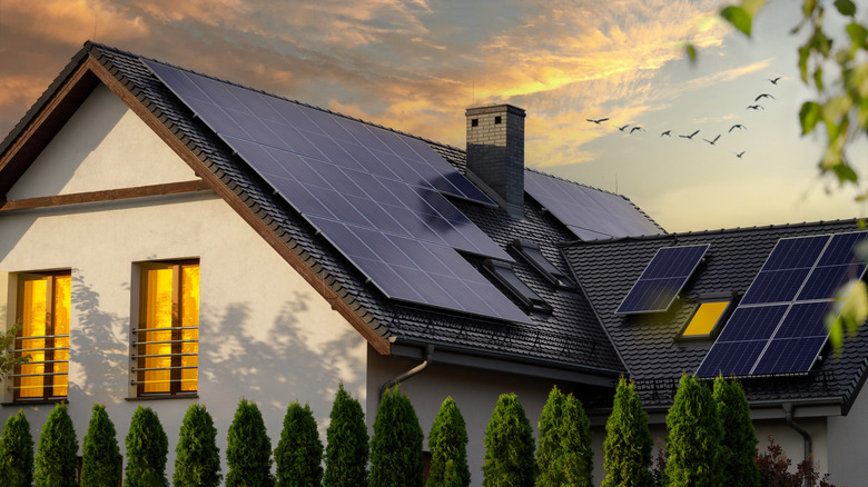 House with rooftop solar panels at sunset behind a row of shrubs.