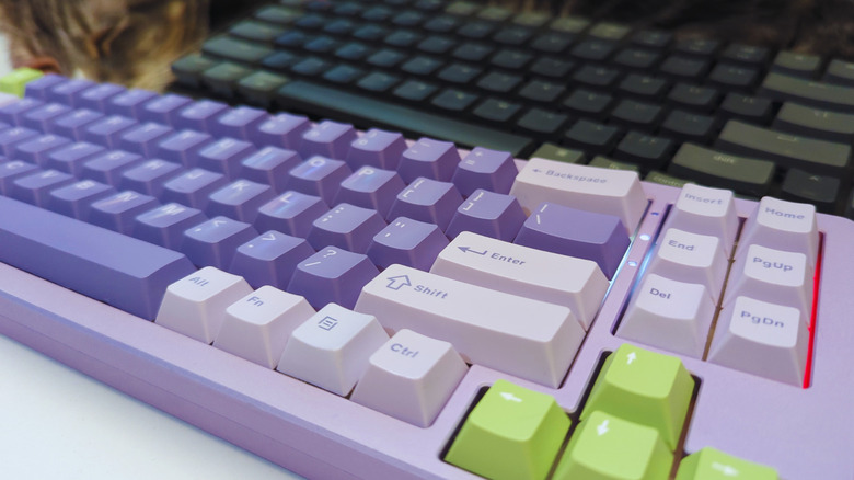 Mechanical keyboards on desk with cat in background