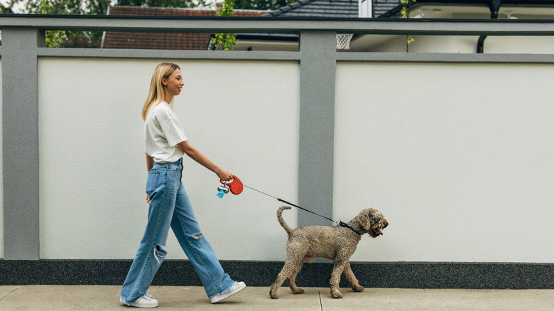 neighbor taking dog for walk