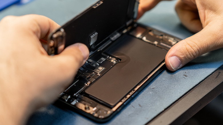 A person looking at an opened phone, specifically the part protecting the phone's battery
