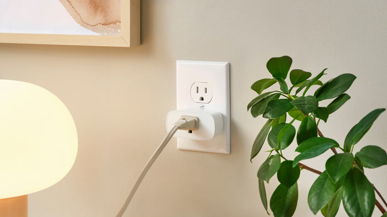 A lamp plugged into a smart plug with a houseplant on a counter nearby