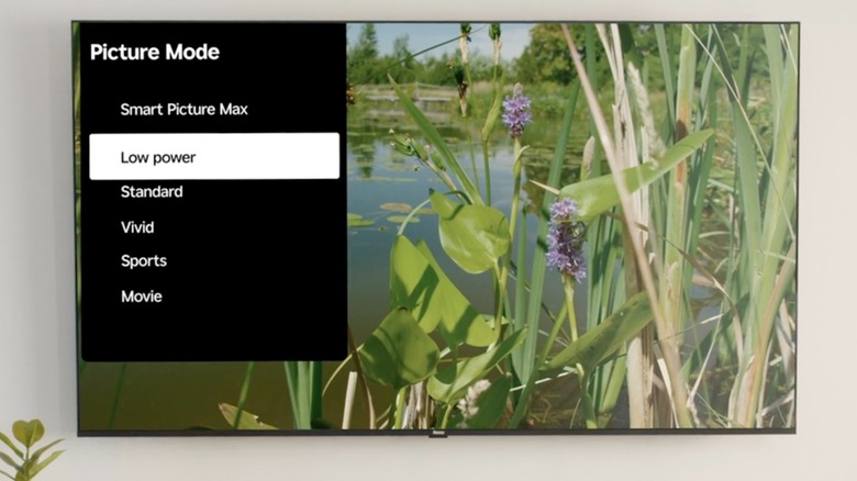 A Roku TV with its Picture Mode setting being displayed, the menu presents options for Smart Picture Max, Low Power, and Standard, among others