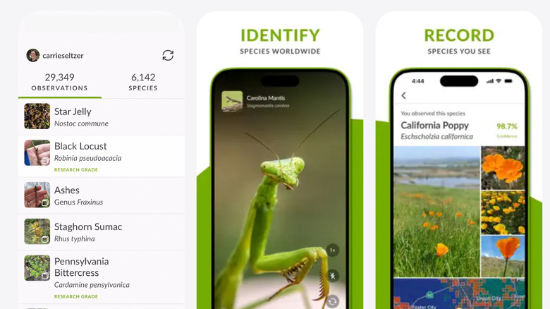 Screenshot of iNaturalist website.
