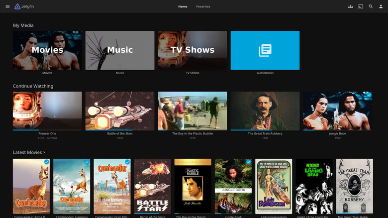 The Jellyfin app interface