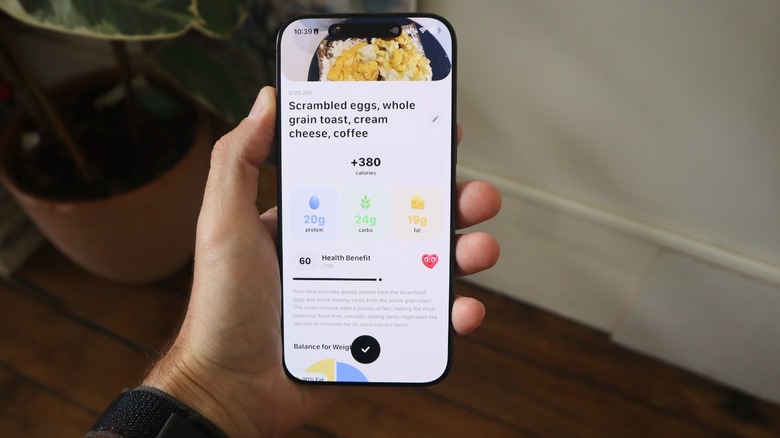 Foodllama understands the amount of calories you eat per meal using AI
