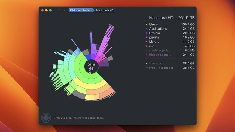 DaisyDisk app running on macOS