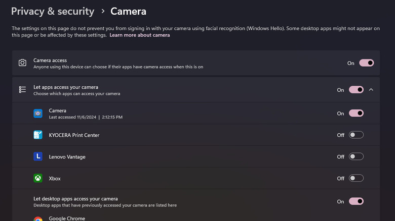 Windows 11 Privacy & security app permission for Camera
