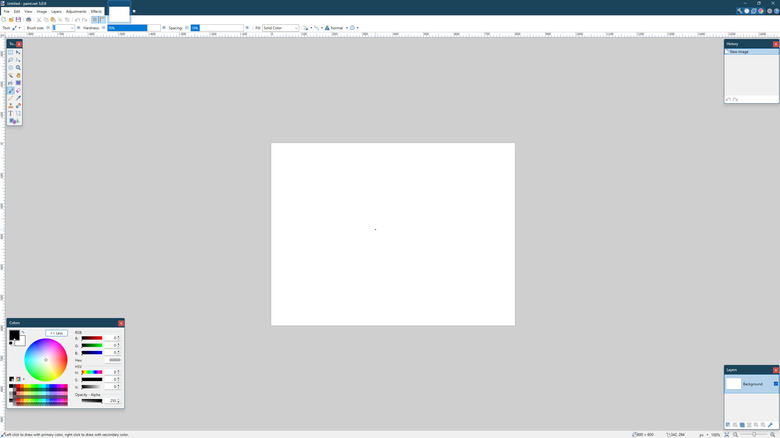 Screenshot of Paint.NET showing default screen