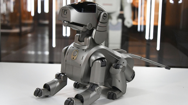 The first generation Sony AIBO robot puppy from 1999 on display.
