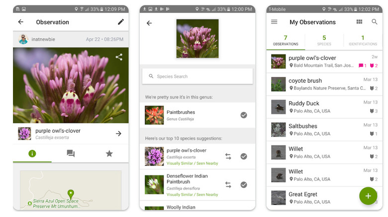 Screenshot of plant identification windows and menu options inside the iNaturalist app