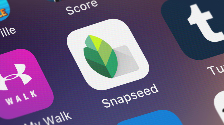 The Snapseed app icon on an iPhone screen