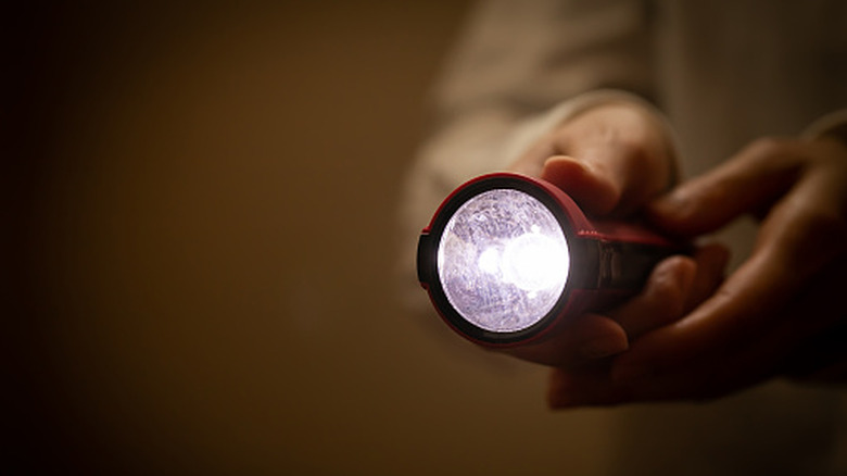 A person holding a flashlight
