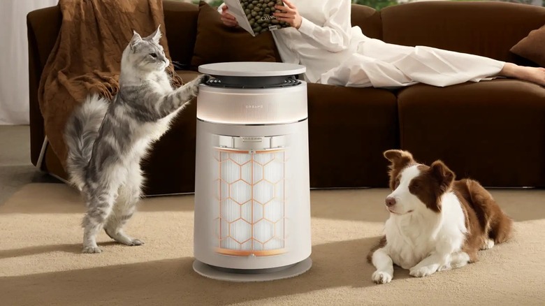 A cat and a dog next to an air purifier