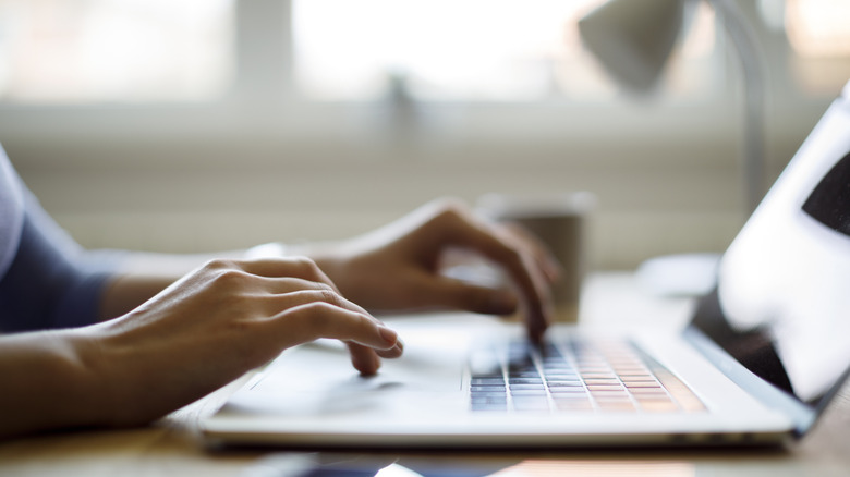 person looking at items on laptop screen