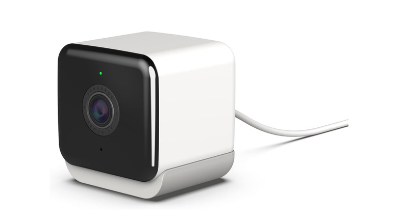 The Kangaroo Indoor + Outdoor Cam.