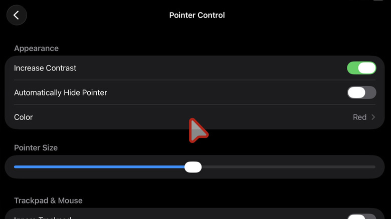 iPad Pointer Control settings showing big red pointer