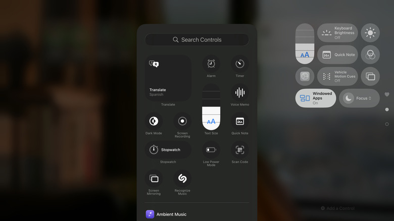 Customizing iPad Control Center