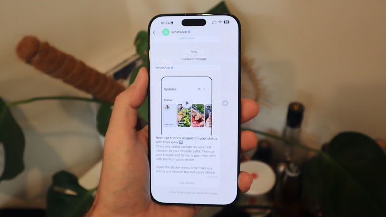 A hand holding an iPhone with a WhatsApp chat opened