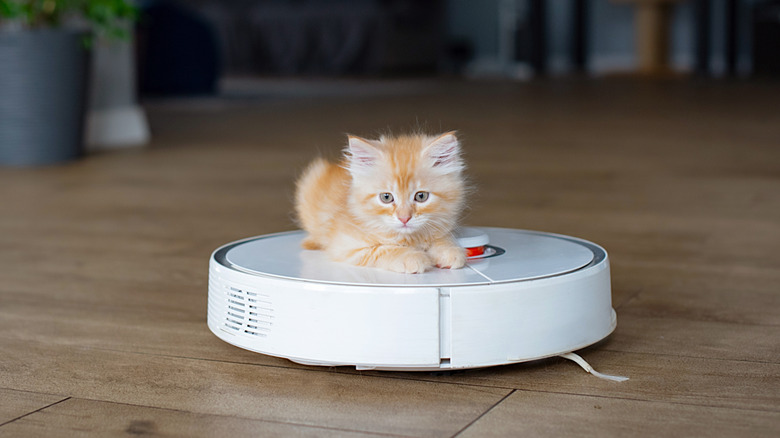 An orange-and-white kitten is pictured riding a robot vacuum cleaner.