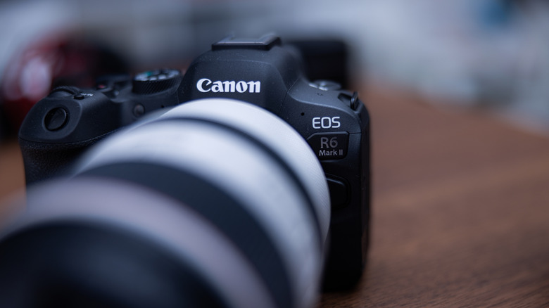 A Canon EOS R6 Mark II mirrorless camera sits on a wooden table