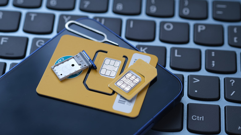 SIM cards and a SIM card tray on top of an iPhone.